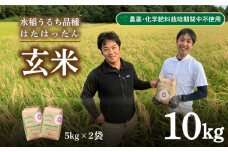 玄米 10kg  新米 精米可 白米 山口 県産 うるち 有機栽培 栽培期間中 農薬 化学肥料 不使用  はたはったん 下関 秋 季節