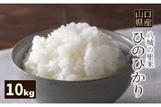 【先行予約】【1回お届け】ひのひかり 精米 10kg  令和7年度米