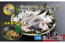 国産 とらふぐ 身欠 セット 約1.1～1.3kg ふぐ松前付付き 冷凍 下関 山口 ふぐ特集 秋 冬