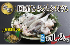 国産 とらふぐ 身欠 セット 約1.1～1.3kg ふぐ松前漬け 付き 冷蔵 下関 山口 ふぐ特集 秋 冬