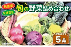 旬の野菜 詰め合わせ セット 5品種 ( お楽しみ 産地直送 農家直送 季節 旬 おまかせ 春 夏 秋 冬 やさい サラダ 新鮮 玉ねぎ 人参 じゃがいも ピーマン 大根 なす キャベツ 等 豊浦町 川棚 下関 山口 )