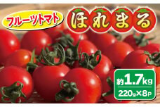 【 期間限定 】 フルーツミニトマト ほれまる 約1.7kg 220g×8パック フルーツトマト 旬 野菜 サラダ 新鮮 季節 期間限定 下関 山口 