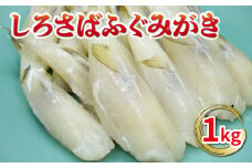 【数量限定】しろさばふぐ みがき ふく 身欠 磨き 冷凍 1kg 下関市 山口県