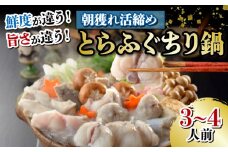 朝獲れ活締め! とらふぐちり鍋 ふぐ皮とヒレ付き てっちり 本場 河豚 関門ふぐ ふぐ鍋 ふぐちり鍋 海鮮鍋 高級魚 鮮魚 本場 下関 山口 冬 旬 お取り寄せ ギフト 贈答 中元 歳暮 お祝い 記念 日指定可