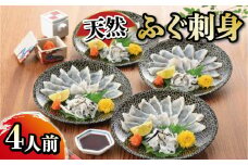 たっぷり4人前! 天然ふぐ刺身 てっさ フグ 本場フグ刺し 河豚 関門ふぐ 高級魚 鮮魚 本場 下関 山口 冬 旬 お取り寄せ ギフト 贈答 中元 歳暮 お祝い 記念 日指定可