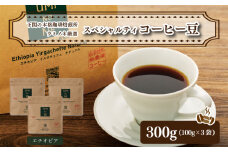 スペシャルティ コーヒー豆セット エチオピア 300g(100g×3袋)  下関市 山口 