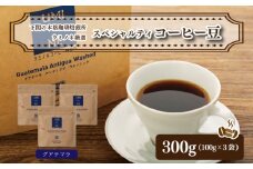 スペシャルティ コーヒー豆セット グアテマラ 300g(100g×3袋)  下関市 山口 