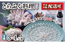 冷蔵 とらふぐ料理セット 3～4人前 30cm皿 有田焼青磁皿 ふぐ特集 秋 冬