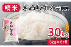 【 定期便 6ヶ月 】新米 きぬむすめ 5kg × 6ヶ月 計 30kg 精米 大容量 米 お届け回数6回 お米 定期便お届け 白米 直前精米 精米したて 豊田町 下関 山口