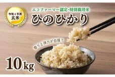 【 令和4年度米 】玄米 ひのひかり 10kg 精米可 山口県産 下関市 秋 季節