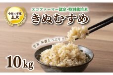 【 令和4年度米 】玄米 きぬむすめ 10kg 精米可 山口県産 下関市 秋 季節