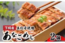 あなごめし 385g × 2個セット 冷凍 下関市 山口 烏はこ