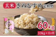 【 定期便 6ヶ月 】新米 きぬむすめ 10kg × 6ヶ月 計 60kg 玄米 大容量 米 お届け回数 6回 お米 定期便お届け やまだ農園 豊田町 下関 山口