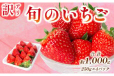 【訳あり】いちご 1kg 数量限定 苺 旬のいちご セット 詰め合わせ 期間限定