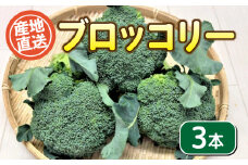 ブロッコリー 3本 セット 期間限定 野菜 やさい サラダ グラタン パスタ 産地直送 下関 山口