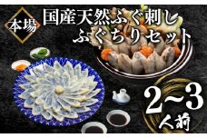 国産天然 ふぐ刺身・ちりセット 2〜3人前 冷凍 本場 下関市 山口県 ( フグ まふぐ マフグ 真フグ とらふぐアラ てっさ てっちり 刺し身 ふぐちり鍋 ふぐ鍋 海鮮鍋 魚介 鮮魚 高級魚 冬 父の日 )