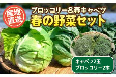 【 期間限定 】 春キャベツ 2玉 ブロッコリー 2本 セット 野菜 やさい サラダ キャベツ ブロッコリー 旬 産地直送 下関 山口