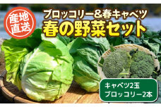 【 期間限定 】 春キャベツ 2玉 ブロッコリー 2本 セット 野菜 やさい サラダ キャベツ ブロッコリー 旬 産地直送 下関 山口