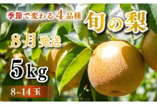 【 先行予約 】 梨 秀品  5kg セット 8玉 ～ 14玉 幸水 豊水 秋月 王秋 フルーツ 果物 なし 期間限定 下関 山口 【 数量限定 】 【8月より発送】