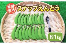 スナップ 豌豆 1kg セット 期間限定 無農薬 野菜 豆 えんどう  産地直送 下関 山口