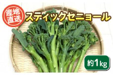 スティックセニョール 1kg セット ( 野菜 茎 ブロッコリー 惣菜 サラダ 炒め物 おかず 和食 洋食 根菜 家庭用 新鮮 旬 産地直送 豊浦町 川棚 下関 山口 )
