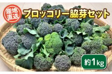 ブロッコリー 脇芽 1kg セット 期間限定 ( 野菜 ブロッコリー 惣菜 サラダ 炒め物 おかず 和食 洋食 根菜 家庭用 新鮮 旬 産地直送 豊浦町 川棚 下関 山口 )