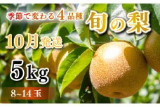 【 先行予約 】 梨 秀品  5kg セット 8玉 ～ 14玉 幸水 豊水 秋月 王秋 フルーツ 果物 なし 期間限定 下関 山口 【 数量限定 】 【10月より発送】