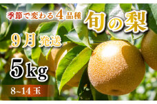 【 先行予約 】 梨 秀品  5kg セット 8玉 ～ 14玉 幸水 豊水 秋月 王秋 フルーツ 果物 なし 期間限定 下関 山口 【 数量限定 】 【9月より発送】