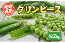 【 先行予約販売 】グリンピース 約2kg セット 無農薬 野菜 豆 惣菜 サラダ 産地直送 下関 山口