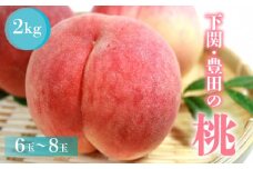 【数量限定】旬の桃 2kg 6玉~8玉 フルーツ くだもの 果物 もも ちよひめ 日川白鳳 あかつき 八幡白鳳 赤宝 なつき 下関 山口 【先行予約】