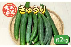 きゅうり 約 2kg 野菜 キュウリ 胡瓜 産地直送 サラダ 漬物 期間限定 下関 山口