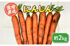 数量限定 にんじん 約 2kg 期間限定 ( 野菜 人参 無農薬 ニンジン キャロット ジュース カレー サラダ 惣菜 煮物 炒め物 おかず 和食 洋食 根菜 家庭用 新鮮 旬 産地直送 豊浦町 川棚 下関 山口 )