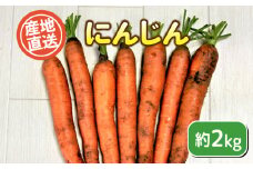数量限定 にんじん 約 2kg 期間限定 ( 野菜 人参 無農薬 ニンジン キャロット ジュース カレー サラダ 惣菜 煮物 炒め物 おかず 和食 洋食 根菜 家庭用 新鮮 旬 産地直送 豊浦町 川棚 下関 山口 )