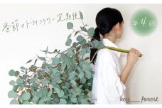 【定期便4回】 季節の草木花のブーケ スワッグ ( 花 お花 ドライフラワー 手作り アレンジメント 定期便 お楽しみ 花 お花 フラワー アレンジメント ブーケ リース スワッグ ギフト 誕生日 記念日 母の日 クリスマス インテリア 雑貨 植物 自宅用 お祝い 贈り物 ) 下関 山口 💐