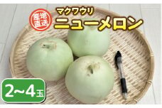 【 先行予約 】 マクワウリ ニューメロン 2~4玉 果物 フルーツ メロン まくわうり 真桑瓜 産地直送 下関 山口
