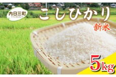 【先行予約】令和7年度米 コシヒカリ 5kg 山口県産 特別栽培エコ50 (化学農薬・肥料50％以上削減/精米まで一貫加工) 【2026年1月より順次発送】