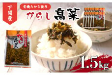 辛子高菜 有機 国産 1.5kg 小分け 150g × 10個 ご飯 の お供 おつまみ 下関 山口