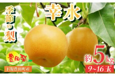 梨 5kg セット 9~16玉 なし 幸水  緩衝材 キャップ 付き フルーツ 季節 旬の 果物 限定 8月 豊田の梨 豊田町 山口県産 下関 ギフト 贈答