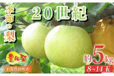 梨 5kg セット 8~14玉 なし 20世紀  緩衝材 キャップ 付き フルーツ 季節 旬の 果物 限定 8月 9月 豊田の梨 豊田町 山口県産 下関 ギフト 贈答