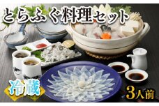 ふぐ 刺身 鍋 セット 3人前 100g 冷蔵 (解凍出荷) 高級魚 とらふぐ てっさ てっちり ひれ 鍋 切身 低カロリー 高タンパク 低脂肪 コラーゲン 皮 ポン酢 もみじ 付き プラ皿 下関 山口 指定日可 ヤマモ水産 KT033z