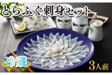 ふぐ 刺身 セット 3人前 100g 冷蔵 (解凍出荷) 高級魚 とらふぐ てっさ ひれ 低カロリー 高タンパク 低脂肪 コラーゲン 皮 ポン酢 もみじ 付き プラ皿 下関 山口 指定日可 ヤマモ水産 KT03z