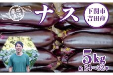 【 期間限定 】 ナス 5kg 訳あり 24本 ~ 32本 なす 茄子 産地直送 サイズ 不揃い 大容量 長ナス 夏秋ナス 10月 11月 セット 野菜 新鮮 吉田 下関 山口
