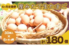たまご 卵 定期便 6ヶ月 分 30個 × 6ヶ月 計 180個  ( 26個 ＋ 割れ保障 4個 ) ×6ヶ月分 玉子 産みたて たまご 鶏卵 卵料理 生卵 玉子焼き 国産 玉子 新鮮 卵かけご飯 大容量 生 卵 鶏 天然 すき焼き 目玉 焼き おかず お弁当 下関 豊北  山口