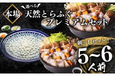 ふぐ 天然 プレミアムセット+α 5~6人前 刺身200g ちり1kg 冷凍 ふぐちり 鍋 とらふぐ 高級魚 皮 焼きヒレ ポン酢 もみじ 付き 陶器皿 ふぐ刺し てっさ てっちり 下関 【 数量 限定 】   山口県 下関市 冬 旬 鮮魚