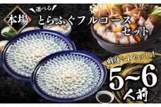 ふぐ フルコース+α 5~6人前 刺身400g ちり 500g 冷凍 ふぐちり 鍋 とらふぐ 高級魚 皮 焼きヒレ ポン酢 もみじ 付き 陶器皿 ふぐ刺し てっさ てっちり  山口県 下関市 冬 旬 鮮魚