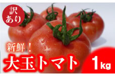 トマト 大玉 訳あり 1kg 野菜 産地直送 お試し 高糖度 リコピン ビタミンC 美容 ご自宅用 栄養 甘い おいしい  下関 山口  【 2025年4月中旬以降の発送 】【 期間限定 】