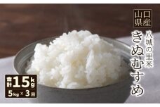 【先行予約】【定期便 3ヶ月】きぬむすめ 精米 5kg 計15kg