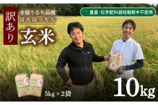 訳あり 玄米 10kg  令和4年産 精米可 米 白米 山口 県産 うるち 有機栽培 栽培期間中 農薬 化学肥料 不使用 はたはったん 下関 秋 季節