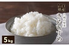 【先行予約】【1回お届け】きぬむすめ 精米 5kg