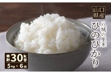 【先行予約】【定期便 6ヶ月】ひのひかり 精米 5kg  計30kg